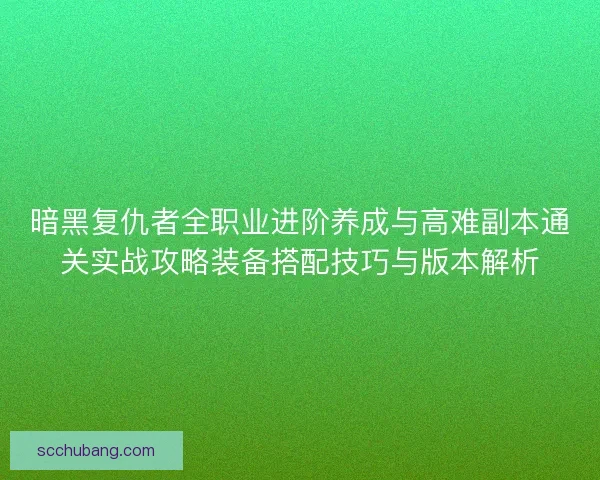 暗黑复仇者全职业进阶养成与高难副本通关实战攻略装备搭配技巧与版本解析