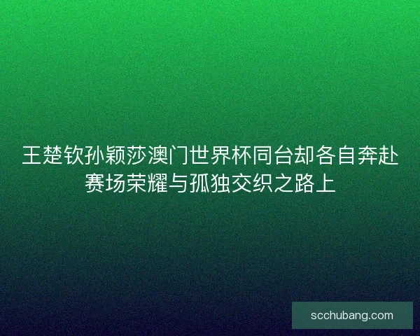 王楚钦孙颖莎澳门世界杯同台却各自奔赴赛场荣耀与孤独交织之路上